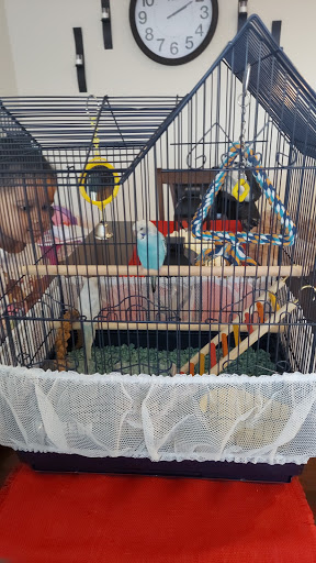 Pet Supply Store «Petco Animal Supplies», reviews and photos, 6416 Carlisle Pike #300, Mechanicsburg, PA 17050, USA