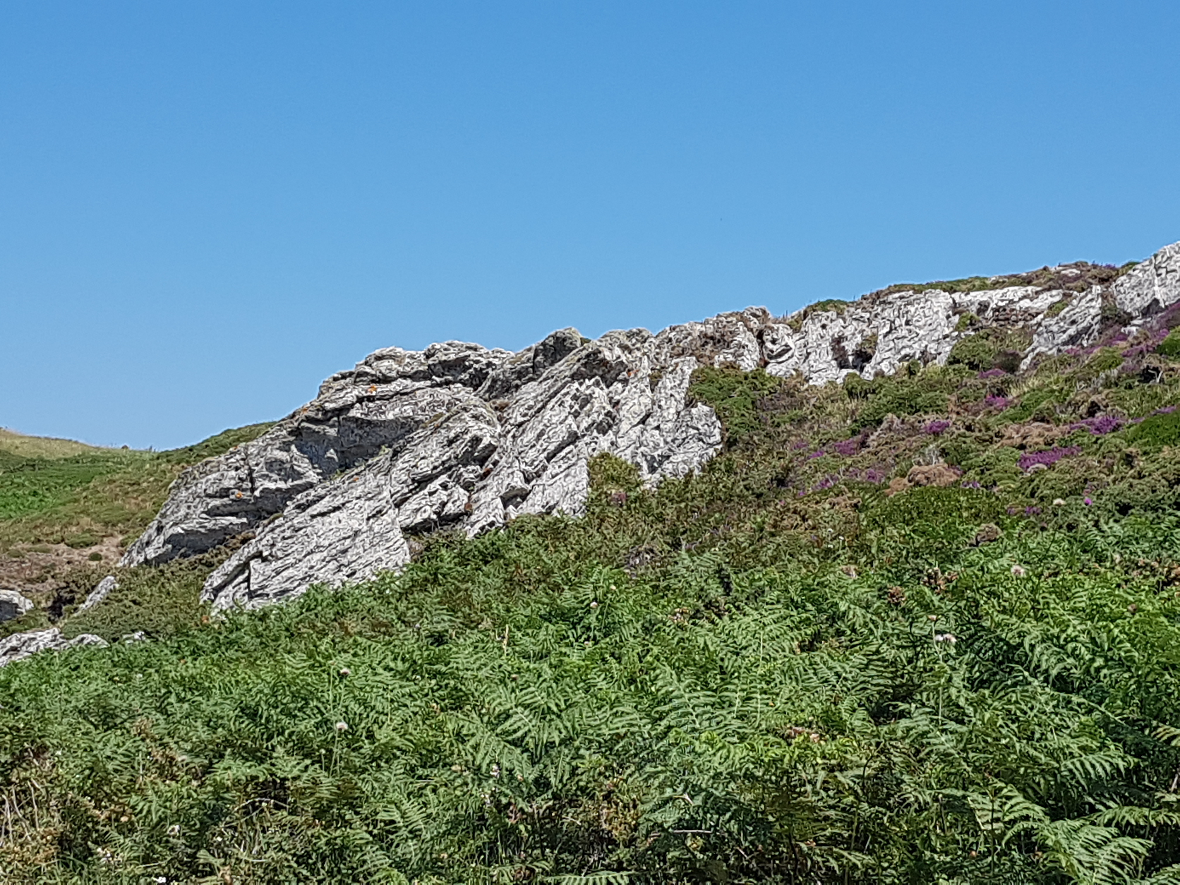 Photo n° 47 de l'avis de FREDERIQUE.a fait le 10/07/2019 à 09:59