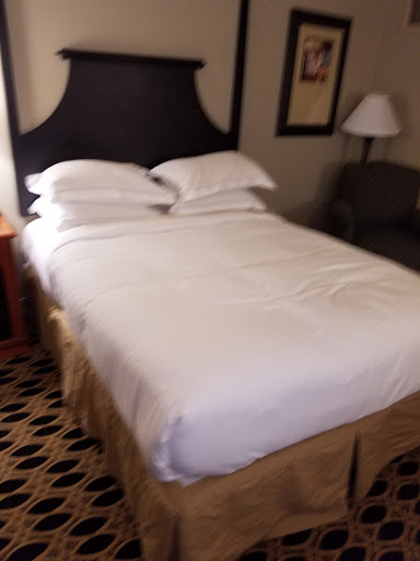 Conference Hotel «Hilton Columbia Center Hotel», reviews and photos, 924 Senate St, Columbia, SC 29201, USA