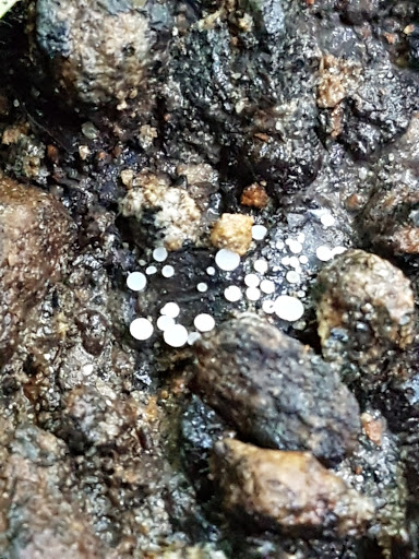 Park «Bechtel Park», reviews and photos, Naamans Rd, Claymont, DE 19703, USA