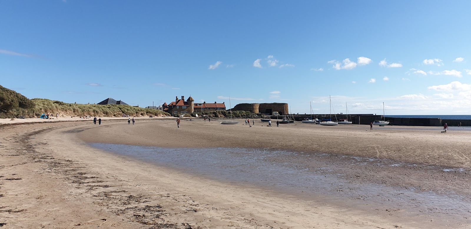 Photo de Plage de Beadnell Bay avec un niveau de propreté de très propre