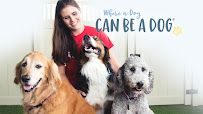 Camp Bow Wow - Photo 1 - Car repair in Cedar Hill, TX, Grand Prairie