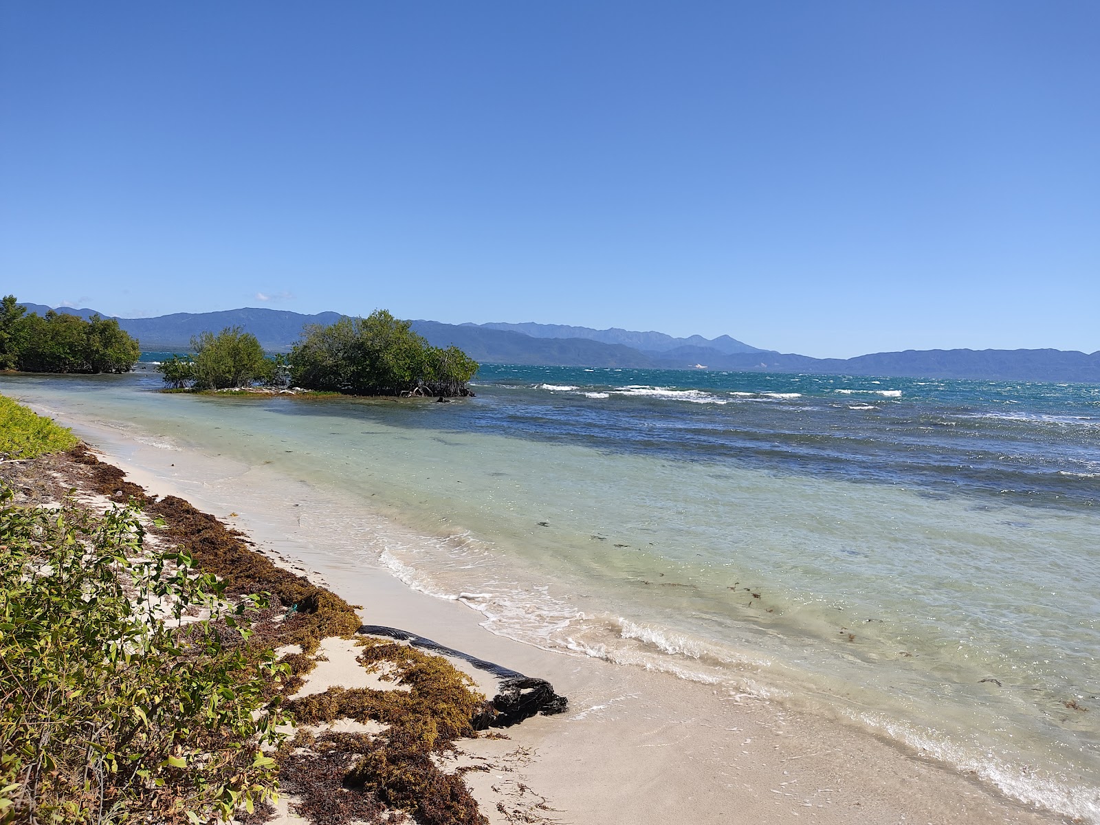 Foto de Blanca beach localizado em área natural