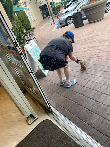 Shopping Mall «Bayside Shopping Center», reviews and photos, 1000 - 1090 Bayside Dr, Newport Beach, CA 92660, USA