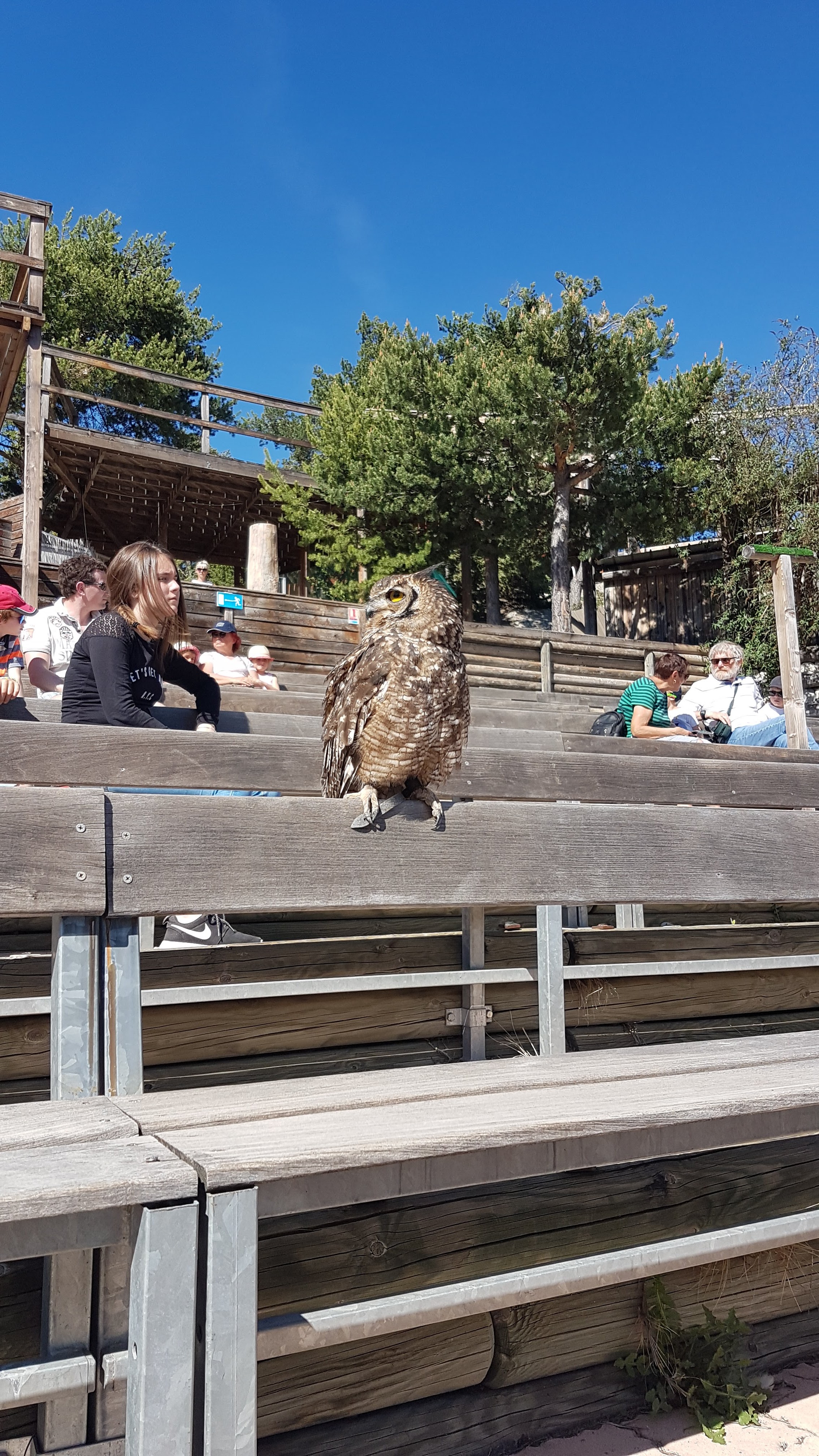 Photo n° 12 de l'avis de Maxence.o fait le 10/05/2018 à 07:26