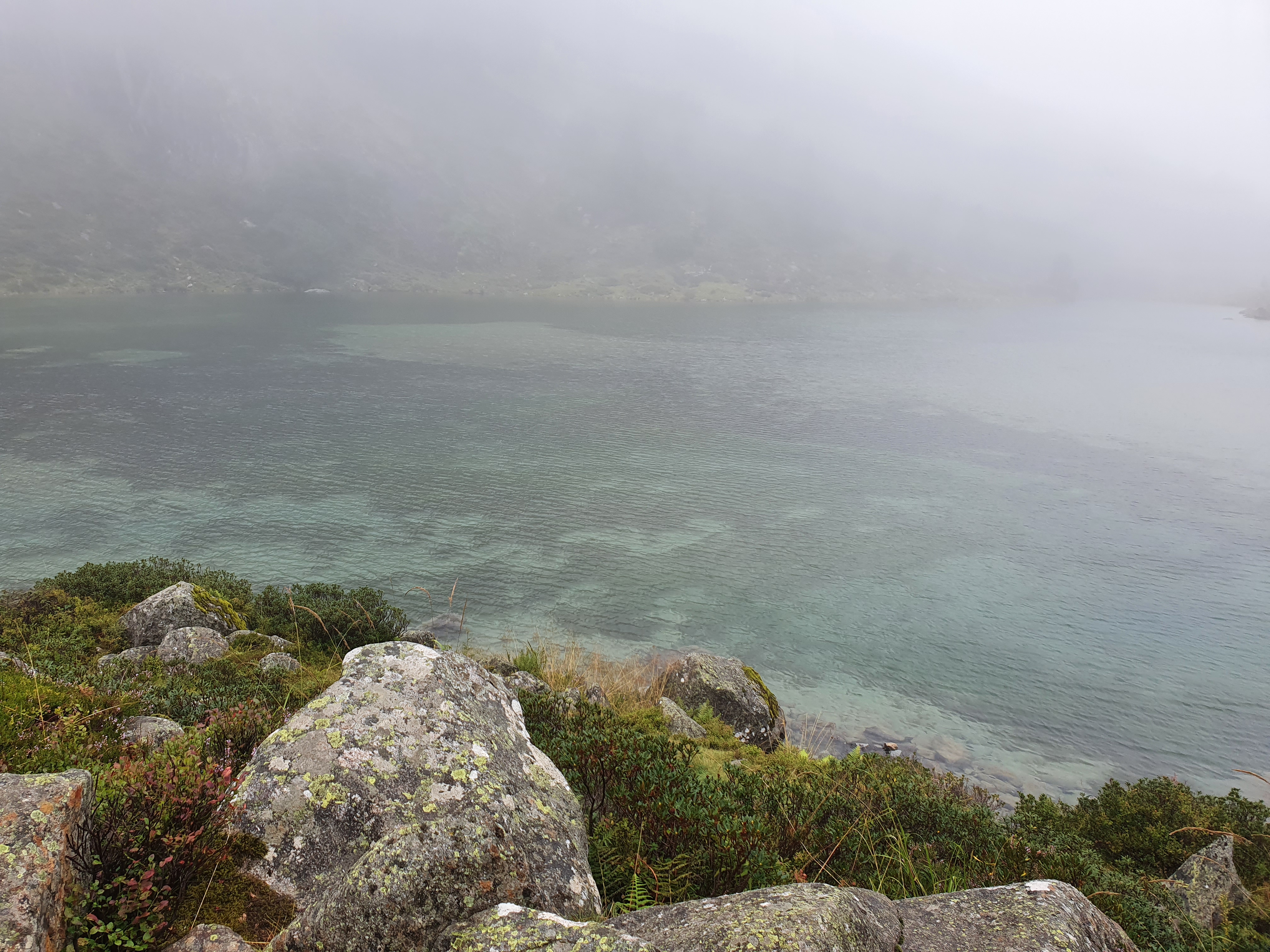 Photo n° 2 de l'avis de Caner.l fait le 28/08/2020 à 17:14