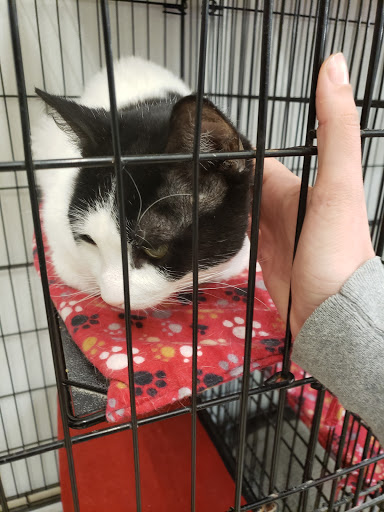 Pet Supply Store «Pet Supplies Plus», reviews and photos, 3733 Union Rd #200, Cheektowaga, NY 14225, USA