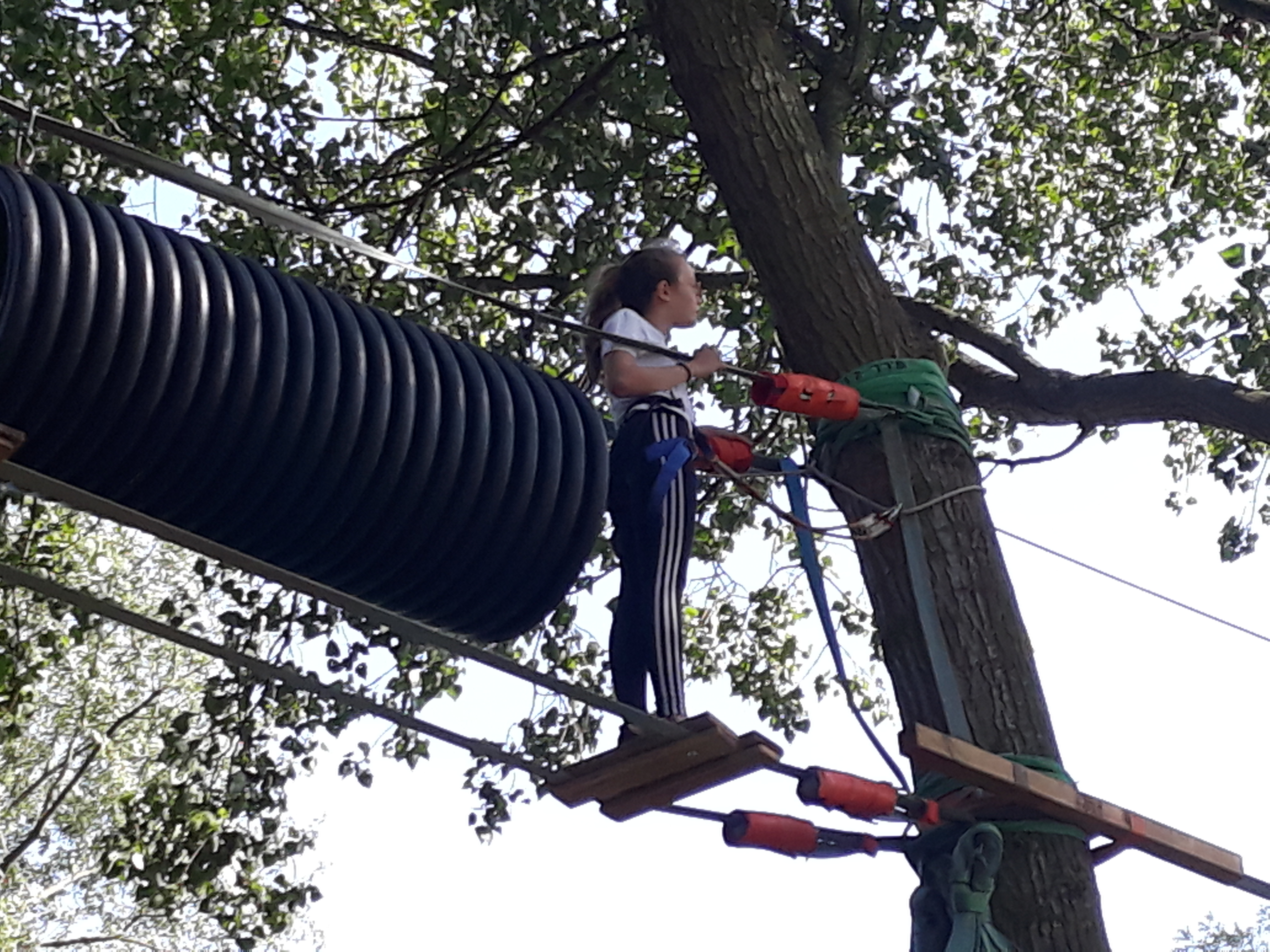 Photo n° 2 de l'avis de David.e fait le 22/07/2019 à 07:25