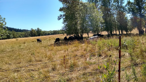 Fairground «Benton County Fairgrounds», reviews and photos, 110 SW 53rd St, Corvallis, OR 97333, USA