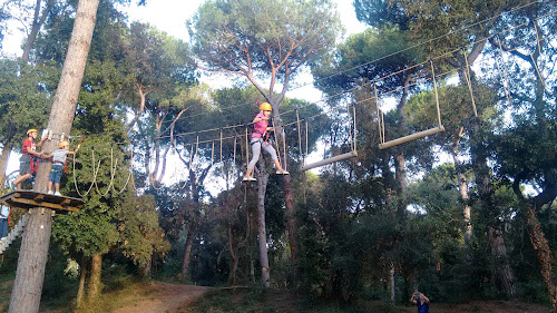 attractions The Adventure Park Pineto Marina di Pisa