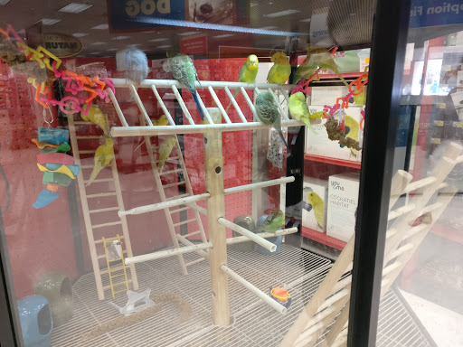 Pet Supply Store «Petco Animal Supplies», reviews and photos, 3012 Bridgepointe Pkwy, San Mateo, CA 94404, USA