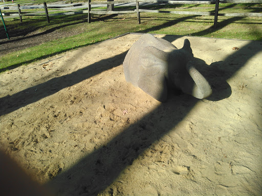 Park «Lions Park Lodge», reviews and photos, 641 Silver Lake Ave, Cuyahoga Falls, OH 44221, USA