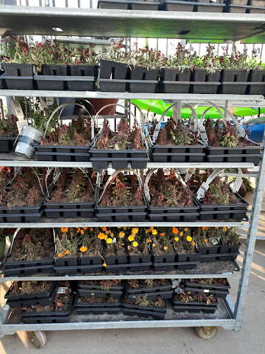 Department Store «Walmart Supercenter», reviews and photos, 1501 SW Wanamaker Rd, Topeka, KS 66604, USA