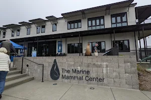 The Marine Mammal Center image