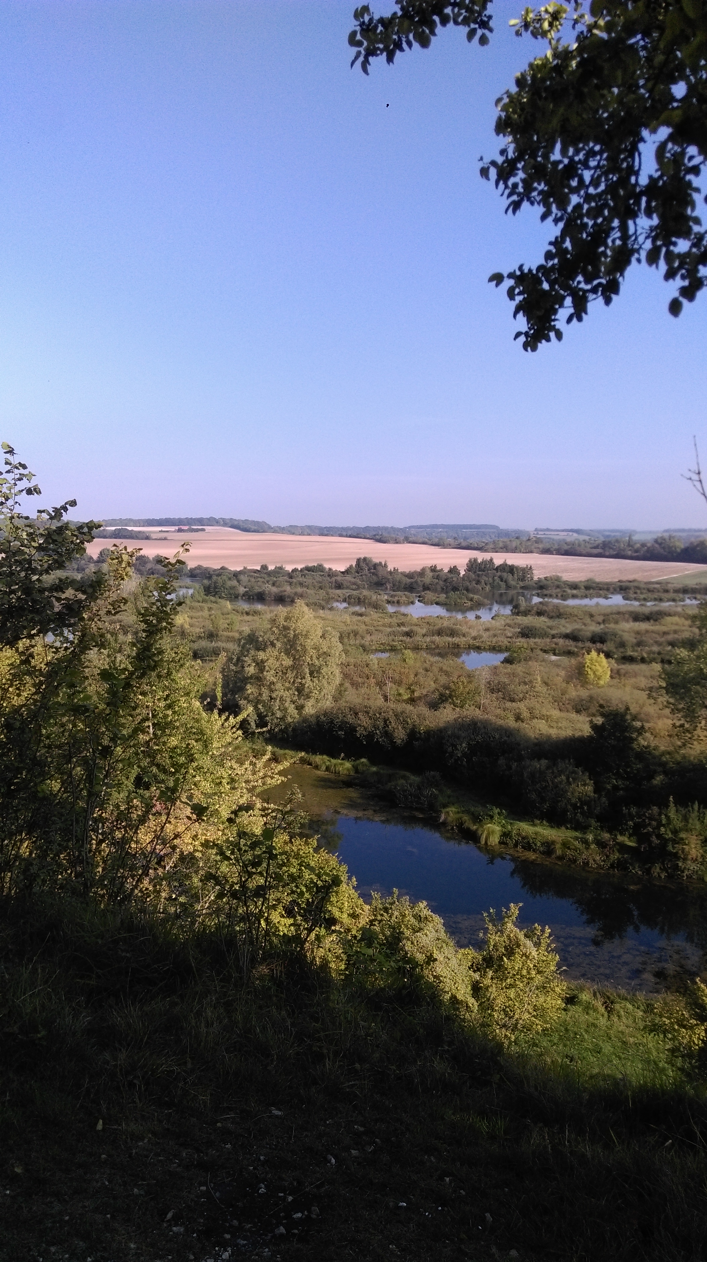 Photo n° 2 de l'avis de Therese.. fait le 15/09/2019 à 08:15
