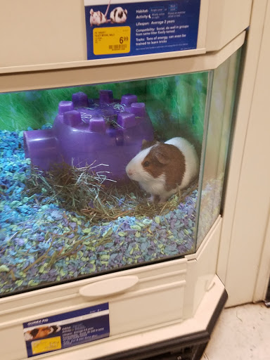 Pet Supply Store «PetSmart», reviews and photos, 2997 Max Ave, Bozeman, MT 59718, USA