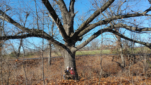 Banquet Hall «Quail Ridge Lodge», reviews and photos, 24 Columbine Ln, Wentzville, MO 63385, USA