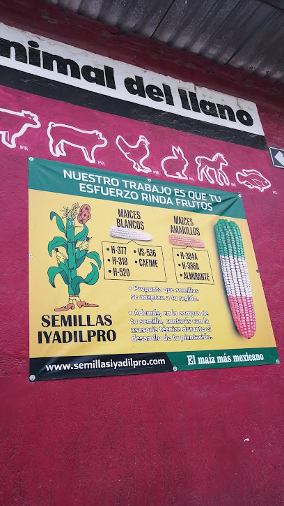 NUTRICION ANIMAL DEL LLANO - Juarez 32A, Sangre de Cristo, 49700 San  Gabriel, Jal.