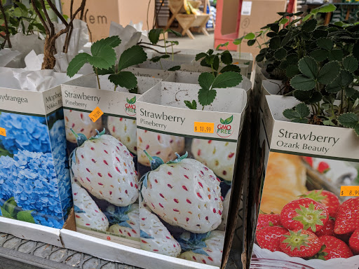 Florist «Metropolitan Plant & Flower Exchange Inc.», reviews and photos, 2125 Fletcher Ave, Fort Lee, NJ 07024, USA