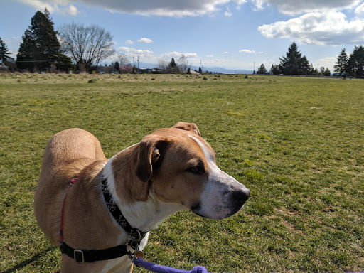 Park «Maple Leaf Reservoir Park», reviews and photos, 1020 NE 82nd St, Seattle, WA 98115, USA