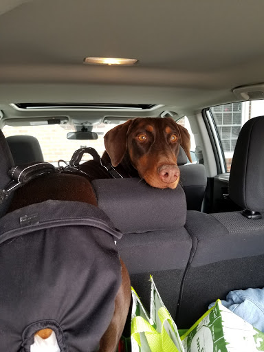 Pet Store «Eastern Pet Company», reviews and photos, 1116 Old U.S. 17, Elizabeth City, NC 27909, USA