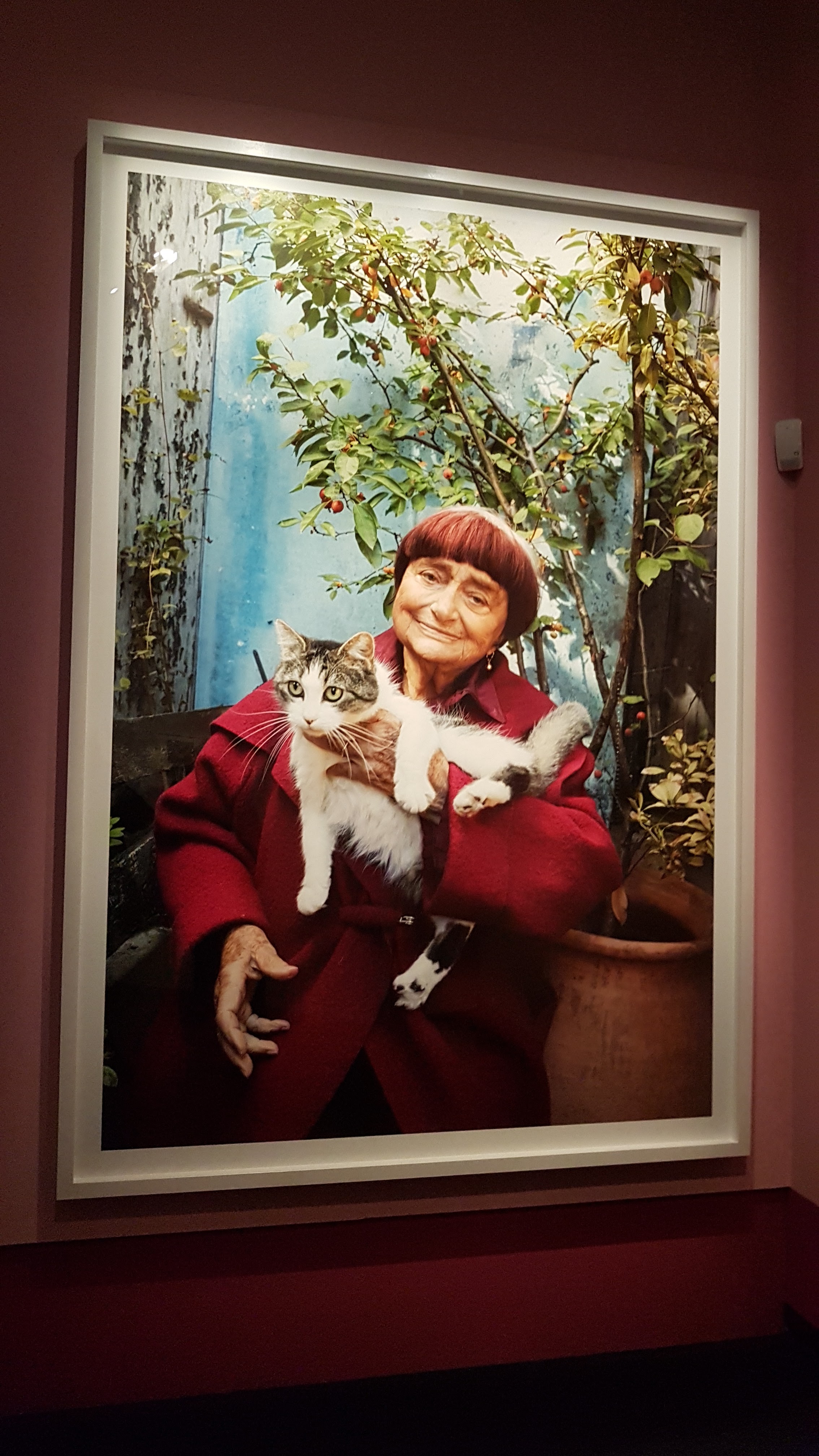 Photo n° 22 de l'avis de JEAN.A fait le 27/12/2023 à 16:26