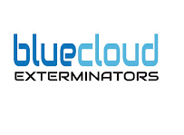 Blue Cloud Exterminators - Photo 9 - Car repair in Los Angeles, CA, Los Angeles