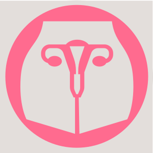 GinecoSalud | Ginecología | Enfermedades de la Mujer