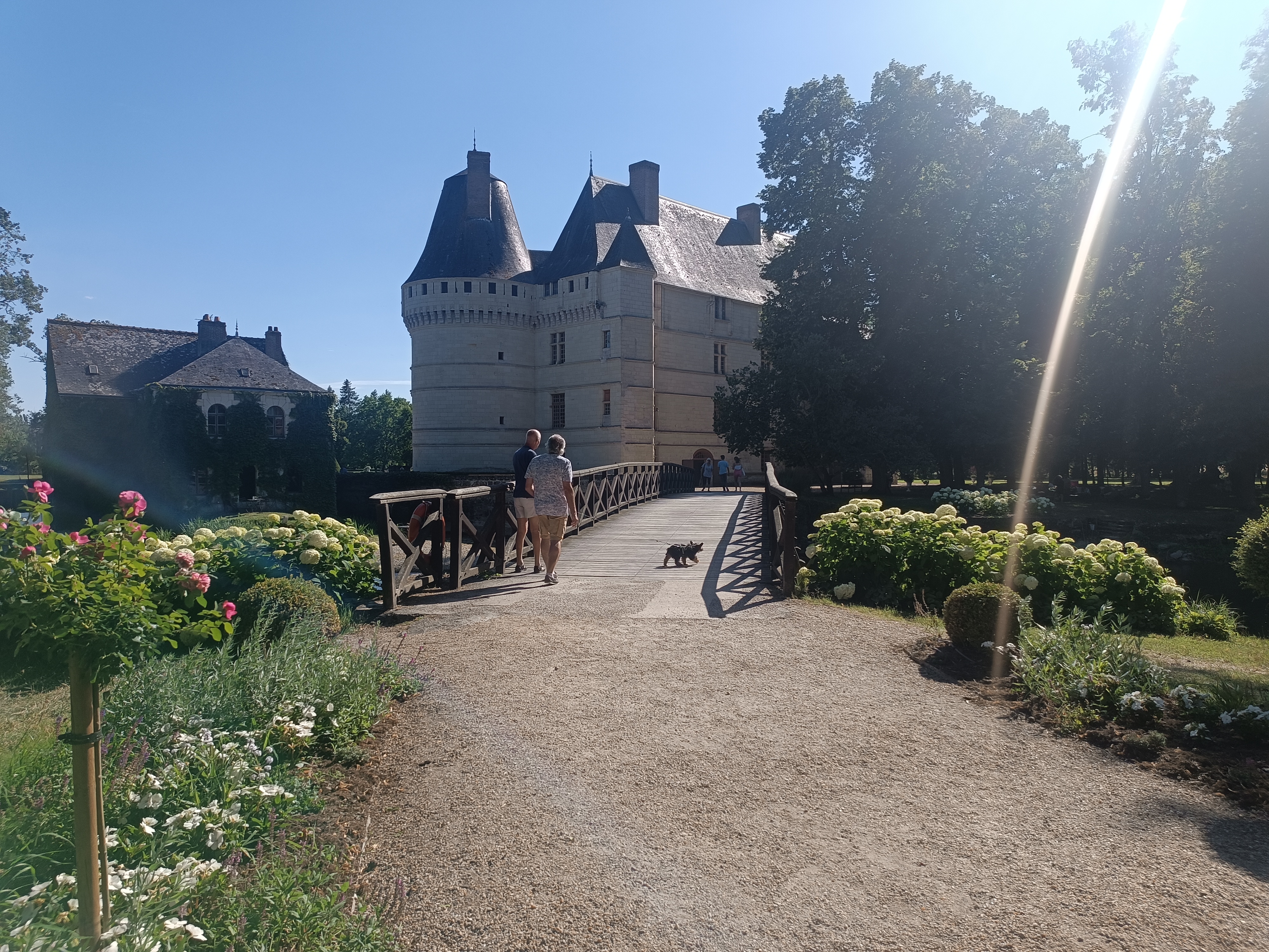 Photo n° 2 de l'avis de Claude.o fait le 20/07/2023 à 11:46