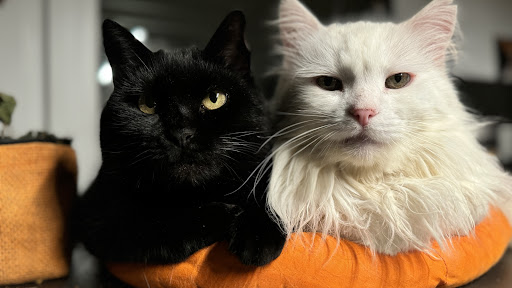 Dr. rer. med. Claudia Bender, M.Sc. unter Siegen, Nordrhein-Westfalen