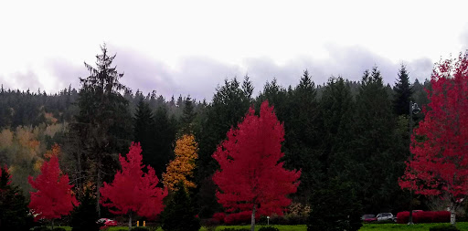 Casino «7 Cedars Casino», reviews and photos, 270756 US-101, Sequim, WA 98382, USA