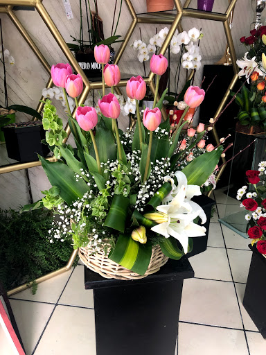 Floreria SAM´S – Zacatecas
