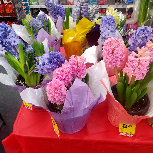 Drug Store «CVS», reviews and photos, 37340 Five Mile Road, Livonia, MI 48154, USA