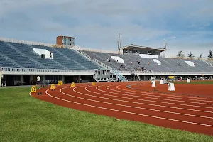 Aomoriken Sports Park image