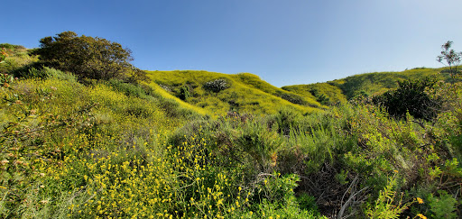 Golf Club «Black Gold Golf Club», reviews and photos, 1 Black Gold Dr, Yorba Linda, CA 92886, USA