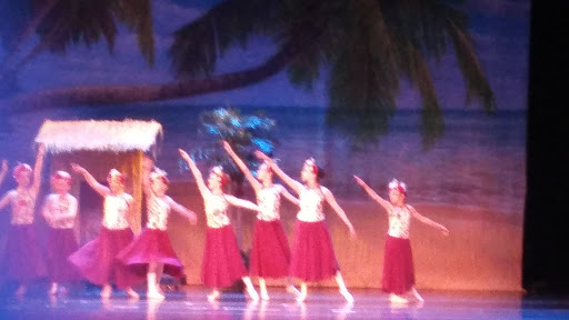 Performing Arts Theater «The Franklin Performing Arts Center», reviews and photos, 2600 Cumberland Dr, Franklin, IN 46131, USA