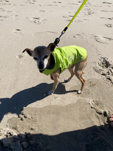 Pet Supply Store «Copper Creek Mercantile», reviews and photos, 4415 River Rd N, Keizer, OR 97303, USA