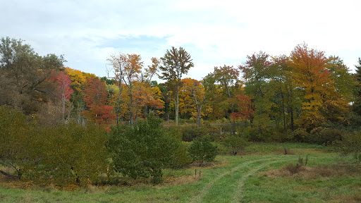 Orchard «George Hill Orchards», reviews and photos, 582 George Hill Rd, South Lancaster, MA 01561, USA