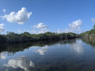 Nine Mile Pond Trail