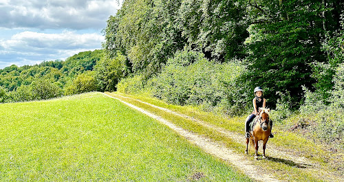 Centre équestre Locacheval Turcey