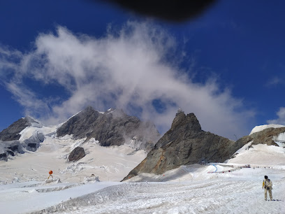 Jungfrau Tours