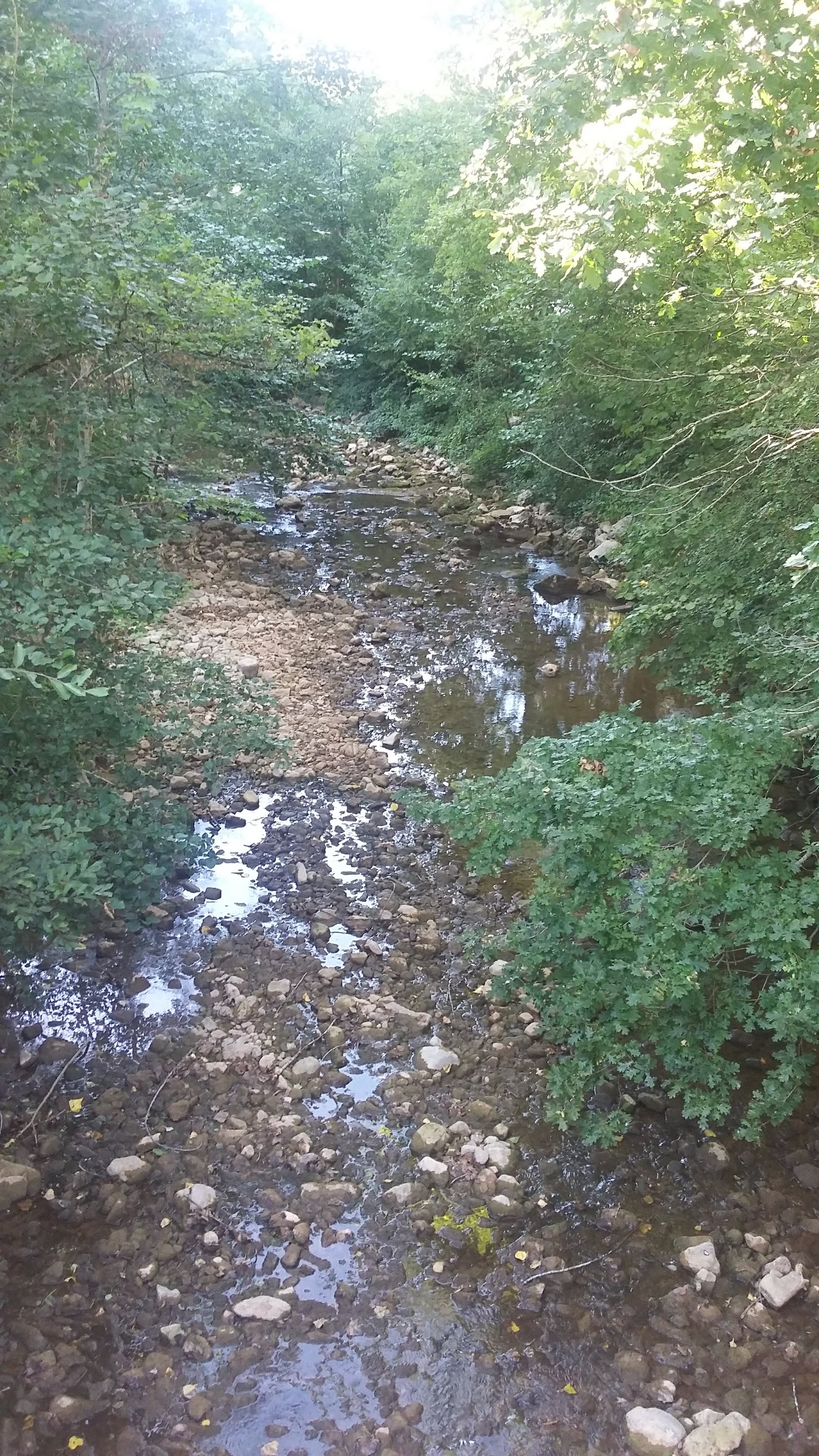 Photo n° 5 de l'avis de david.e fait le 27/08/2020 à 18:35
