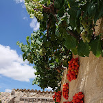 Photo n°4 de l'avis de Christine.p fait le 22/04/2024 à 22:35 sur le  Le Stanzie à Supersano