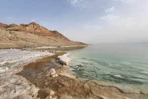 Ein Gedi Beach image