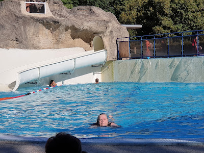 Piscine Ludique Intercommunale à L'Hermenault