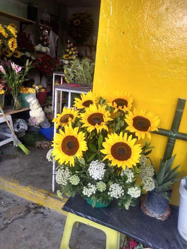 Florería Arte Floral florería en  en la zona San Juan de los Lagos