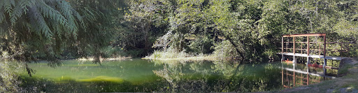 Amusement Park «Pacific NW Live Steamers», reviews and photos, 31803 S Shady Dell Rd, Molalla, OR 97038, USA