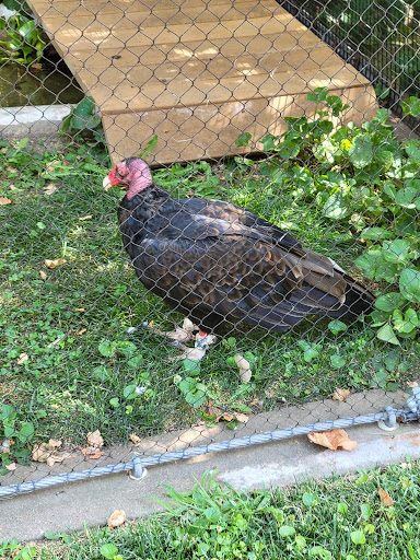 Zoo «Kansas Wildlife Exhibit», reviews and photos, 600-630 Nims N, Wichita, KS 67203, USA