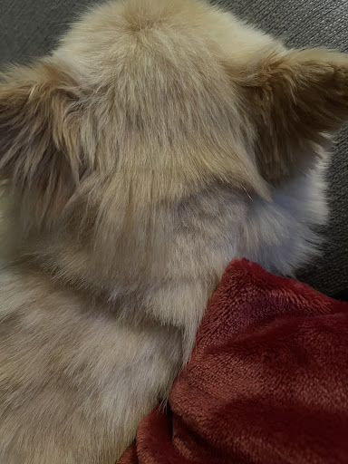 Pet Supply Store «EarthWise Pet», reviews and photos, 4880 Lower Roswell Rd #10, Marietta, GA 30068, USA