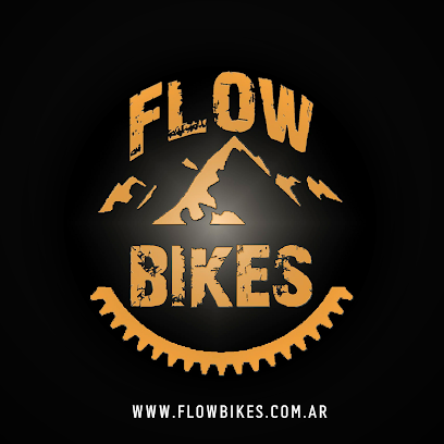 Flow Bikes